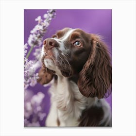 Springer Spaniel.Generated AI. Wall Art Print Canvas Print