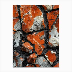 Cracks In The Wall Canvas Print