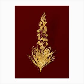 Vintage Persian Lily Botanical in Gold on Red n.0549 Canvas Print