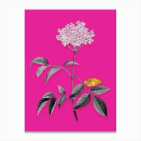 Vintage Elderflower Tree Black and White Gold Leaf Floral Art on Hot Pink n.0637 Canvas Print