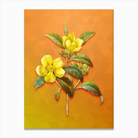 Vintage Golden Guinea Vine Botanical Art on Tangelo Canvas Print