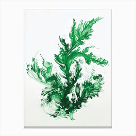 Green Ink Painting Of A Staghorn Fern 3 Canvas Print