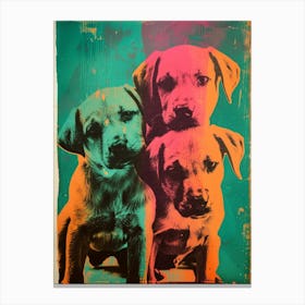 Polaroid Puppies 1 Canvas Print
