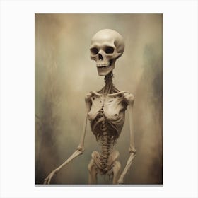 Skeleton Stock Videos & Royalty-Free Footage Canvas Print