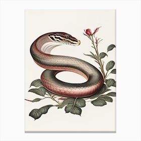Kukri Snake 1 Vintage Canvas Print