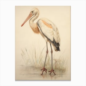 Vintage Bird Drawing Stork 3 Canvas Print