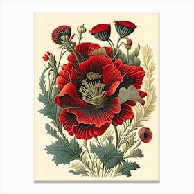 Poppy 3 Floral Botanical Vintage Poster Flower Canvas Print