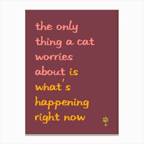 Only Thing A Cat Worries About Is What'S Happening Right Now  Canvas Print