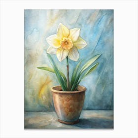 Daffodil Canvas Print