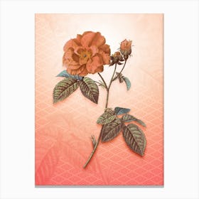 Apothecary Rose Vintage Botanical in Peach Fuzz Hishi Diamond Pattern n.0048 Canvas Print
