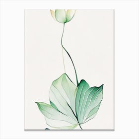 Water Lily Leaf Minimalist Watercolour 1 Canvas Print