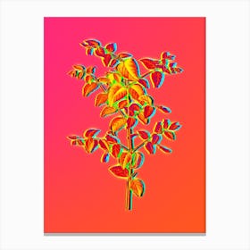 Neon Tree Fuchsia Botanical in Hot Pink and Electric Blue n.0186 Canvas Print