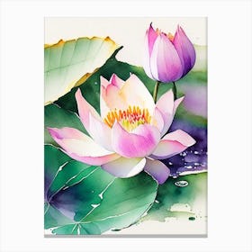 Double Lotus Watercolour 2 Canvas Print