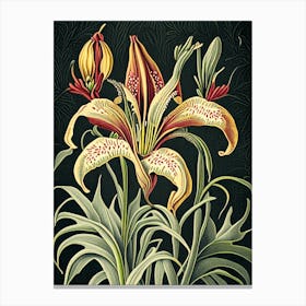 Inca Lily 3 Floral Botanical Vintage Poster Flower Canvas Print