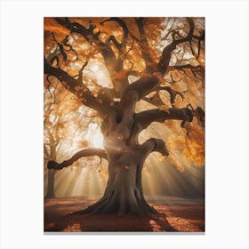 Ancient Tree Canvas Print