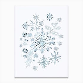 Irregular Snowflakes, Snowflakes, Quentin Blake Illustration Canvas Print