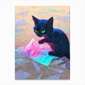 Cat In A Bag Canvas Print