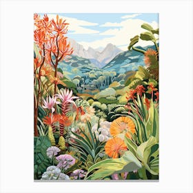 Kirstenbosch National Botanical Garden South Modern Illustration Canvas Print