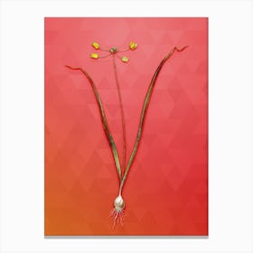 Vintage Allium Scorzonera Folium Botanical Art on Fiery Red Canvas Print