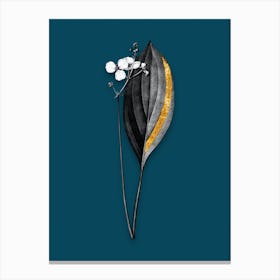 Vintage Bulltongue Arrowhead Black and White Gold Leaf Floral Art on Teal Blue n.1180 Canvas Print