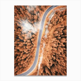 Aerial View Of A Pine Forest Road in Autumn 1 Canvas Print