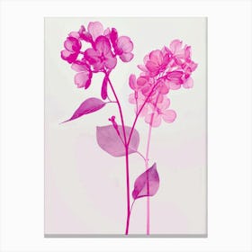 Hot Pink Lilac 1 Canvas Print