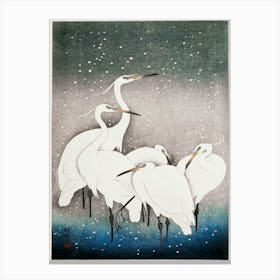 Group Of Egrets (1925 1936), Ohara Koson Canvas Print