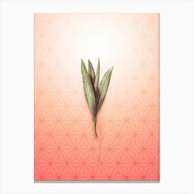 Autumn Crocus Vintage Botanical in Peach Fuzz Asanoha Star Pattern n.0134 Canvas Print