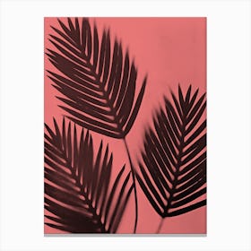 Coral black palm leaves 2 Canvas Print