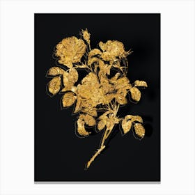 Vintage Rose of Love Bloom Botanical in Gold on Black n.0335 Canvas Print