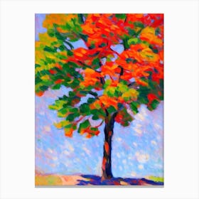 Sugar Maple tree Abstract Block Colour Canvas Print