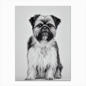 Brussels Griffon B&W Pencil dog Canvas Print