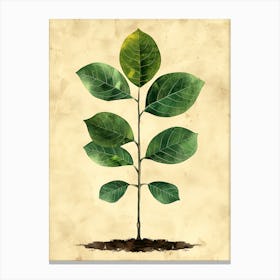 Illustration Of A Tree Canvas Print