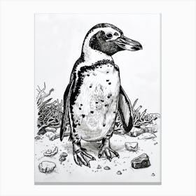 African Penguin Playing 1 Canvas Print