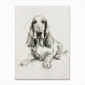 Basset Hound Dog Charcoal Scribble Canvas Print