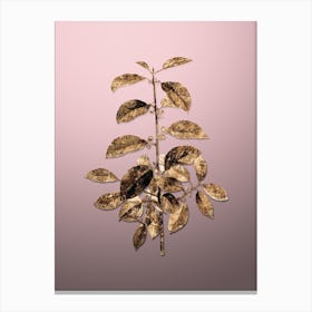 Gold Botanical Alder Buckthorn on Rose Quartz n.2277 Canvas Print