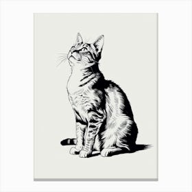 Cat Looking Up 1 Canvas Print