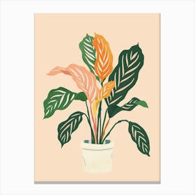 Calathea Plant Minimalist Illustration 1 Canvas Print