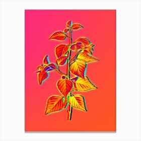 Neon Black Birch Botanical in Hot Pink and Electric Blue n.0338 Canvas Print