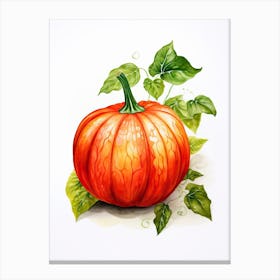 Red Kuri Squash Pumpkin Watercolour Illustration 2 Canvas Print