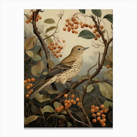 Dark And Moody Botanical Hermit Thrush 1 Canvas Print