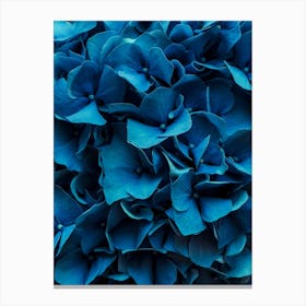 Blue Blossoms Canvas Print