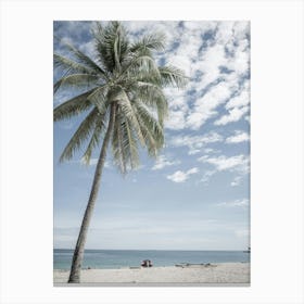 Palm Tree On The Beach In Indonesia Canvas Print
