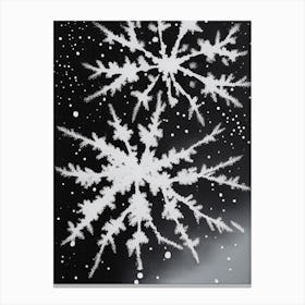 Stellar Dendrites, Snowflakes, Black & White 3 Canvas Print