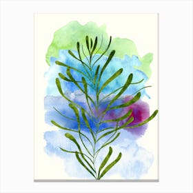 Watercolor Of A Plant Canvas Print