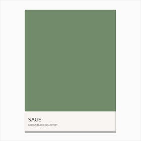 Sage Colour Block Poster Canvas Print