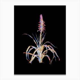 Stained Glass Pina Cortadora Mosaic Botanical Illustration on Black n.0067 Canvas Print