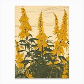 Nokanzou Goldenrod 2 Vintage Japanese Botanical Canvas Print