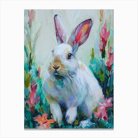 Florida White Rabbit Painting 2 Canvas Print