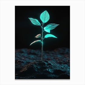 Small Green Plant On Dark Background Canvas Print